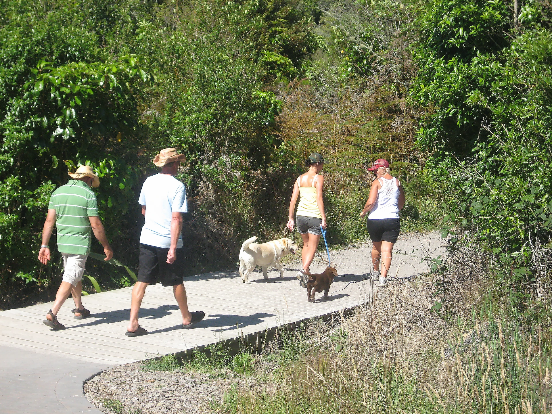 Bush Walks